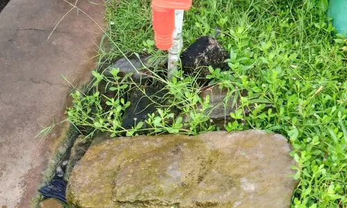 பாராட்டு