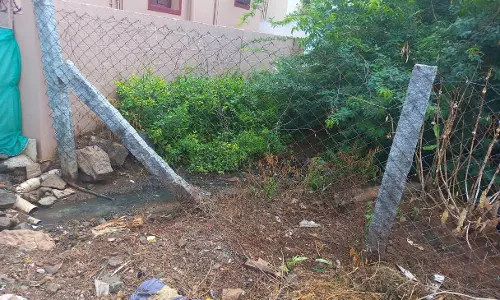 பராமாிப்பின்றி பூங்கா பராமாிப்பின்றி பூங்கா