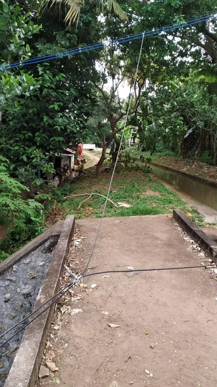 நடவடிக்கை தேவை