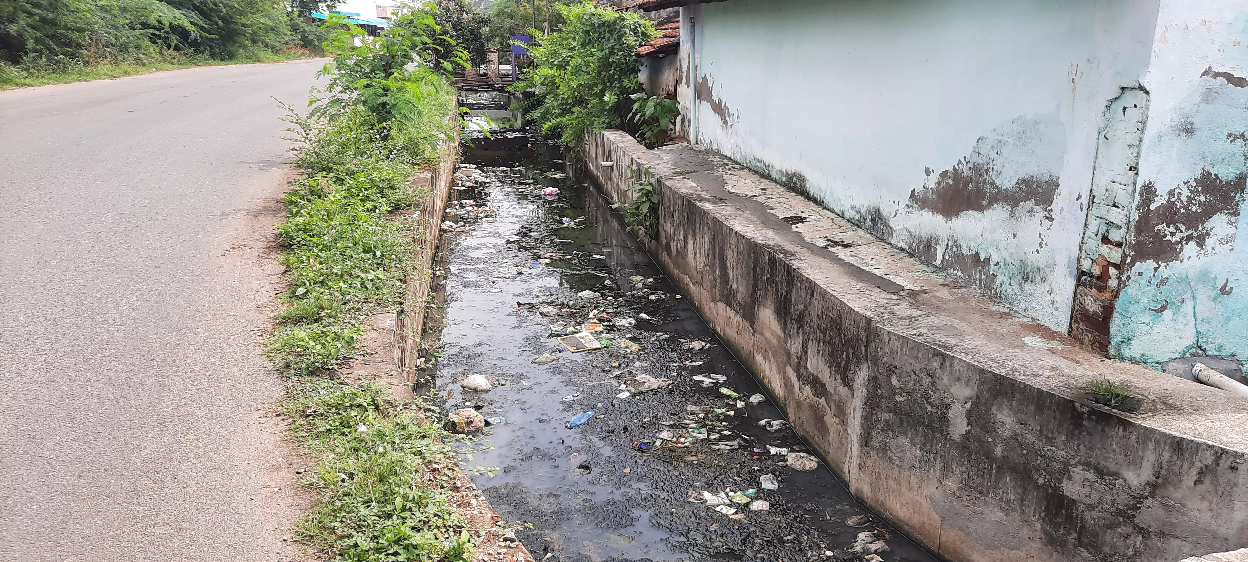 சாக்கடை கால்வாய் தூர்வாரப்படுமா?