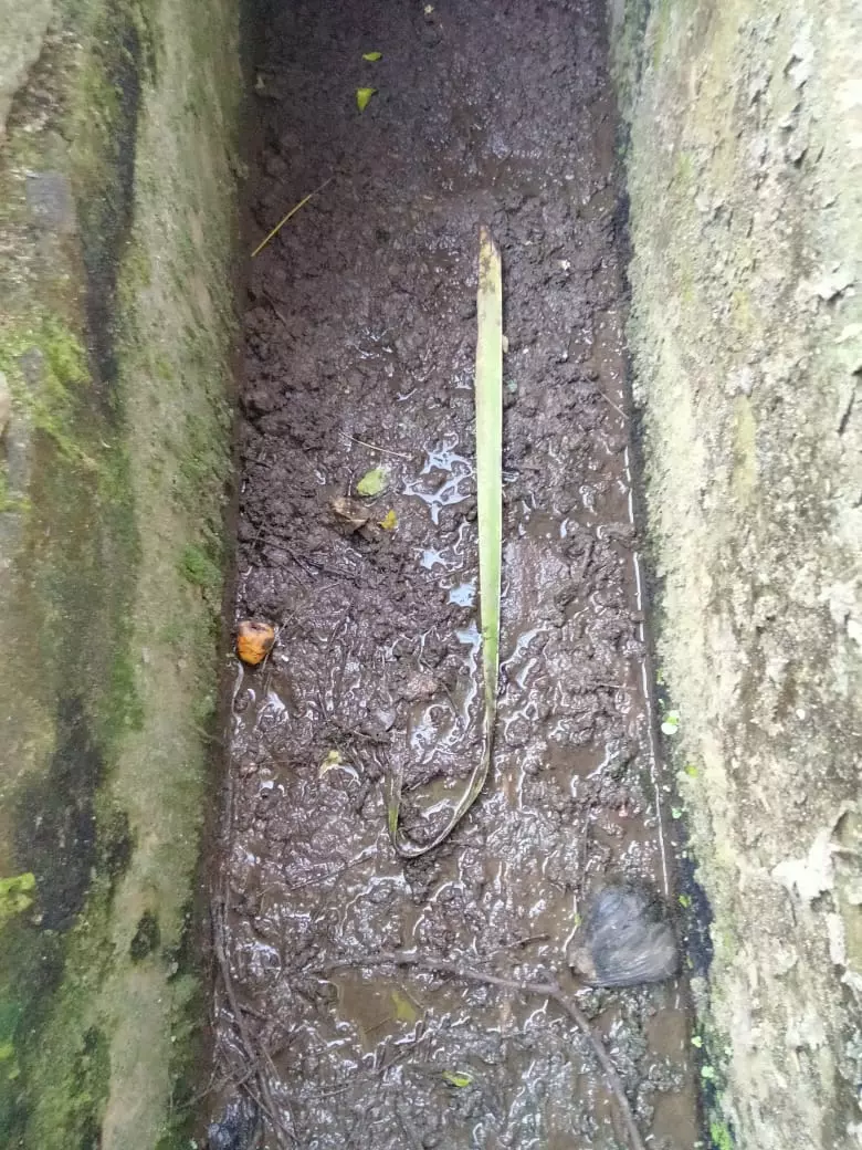 சுகாதார சீர்கேடு சுகாதார சீர்கேடு