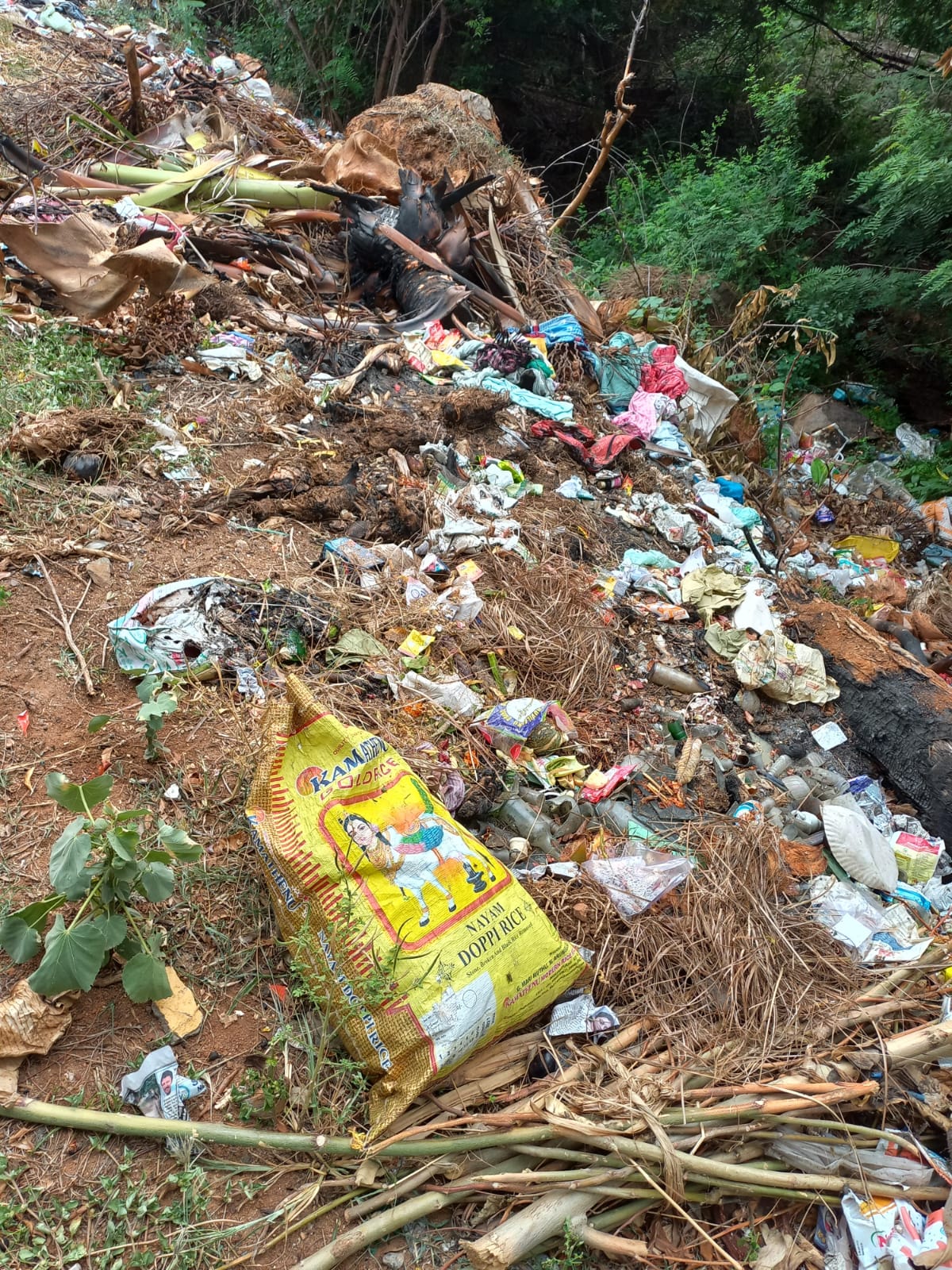 குப்பைகளை அகற்ற கோரிக்கை குப்பைகளை அகற்ற கோரிக்கை