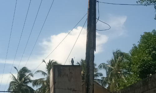 ஆபத்தான மின்கம்பம்