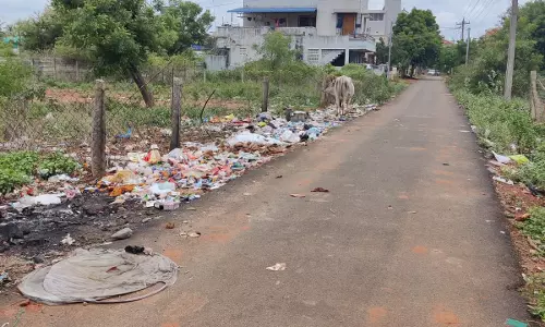 குப்பைகள் அகற்றப்படுமா?