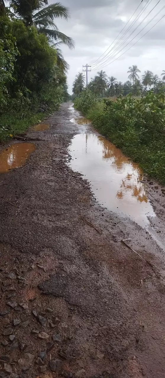 குண்டும், குழியுமான சாலை