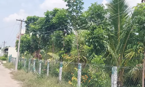 தாழ்வாக செல்லும் மின்கம்பியால் விபத்து அபாயம்