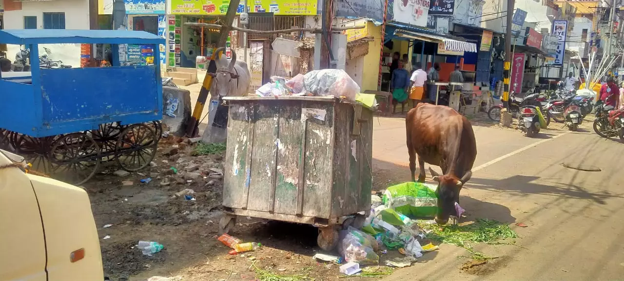 நிரம்பி வழியும் குப்பைதொட்டி