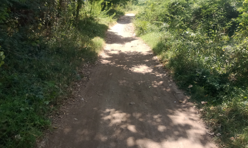 குண்டும், குழியுமான மண் சாலை