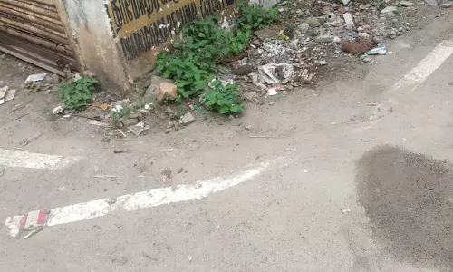 பெயர் பலகை வேண்டும் பெயர் பலகை வேண்டும்