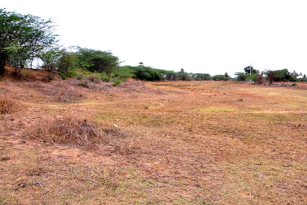 சீரமைக்கப்படாத காட்டுசோலை குளம்