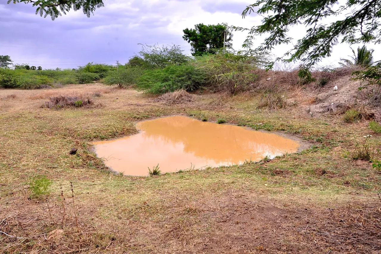 சீரமைக்கப்படாத காட்டுசோலை குளம்