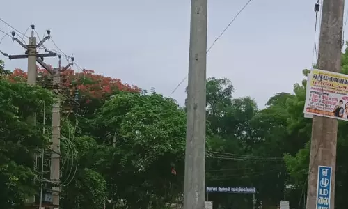 மின்கம்பம் இங்கே; மின்விளக்கு எங்கே? மின்கம்பம் இங்கே; மின்விளக்கு எங்கே?