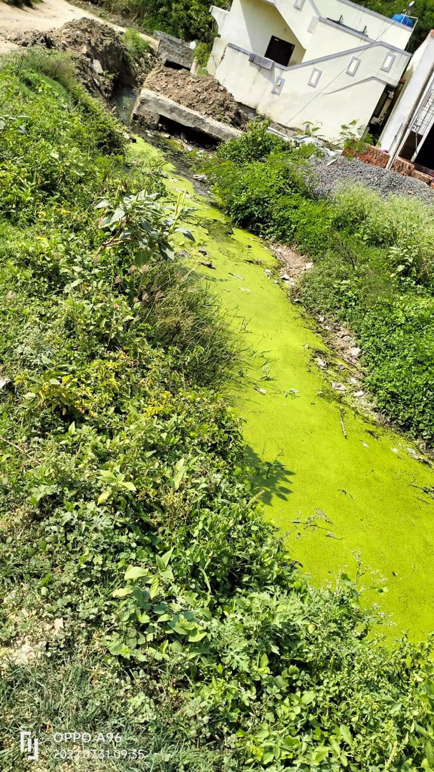 தேங்கி நிற்கும் மழைநீரில் கொசு உற்பத்தி தேங்கி நிற்கும் மழைநீரில் கொசு உற்பத்தி