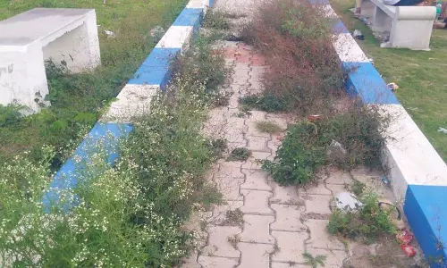 ஆண்டியப்பனூர் அணை பூங்காவை பராமரிக்க வேண்டும் ஆண்டியப்பனூர் அணை பூங்காவை பராமரிக்க வேண்டும்