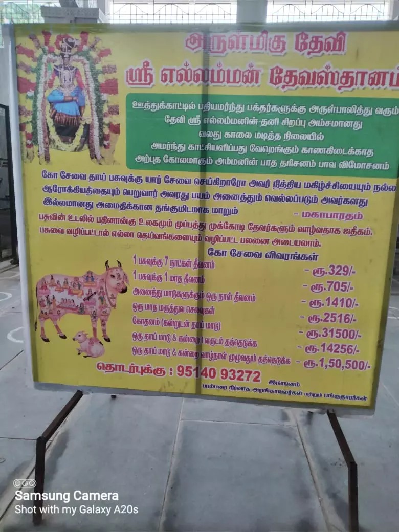 `நடவடிக்கை எடுக்கப்படுமா?