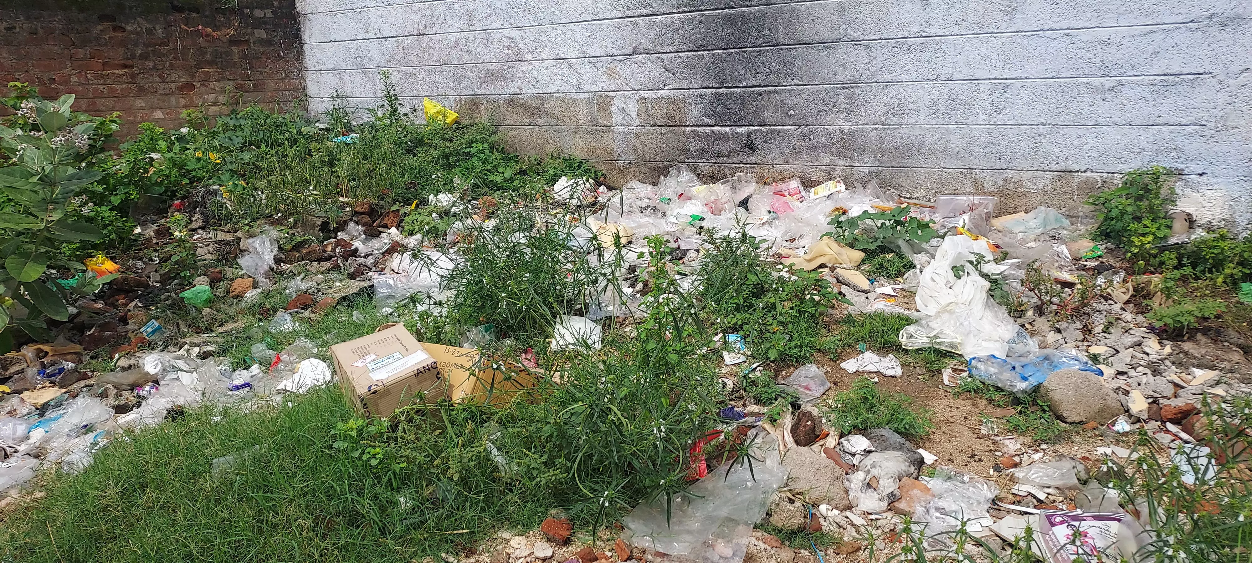 குப்பைகளால் நோய் பரவும் அபாயம்