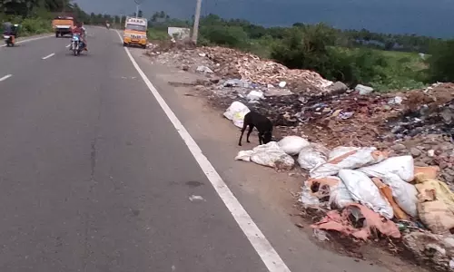 சாலையோரம் கொட்டப்படும் இறைச்சி கழிவுகள்