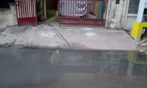 கொசுக்கள் படையெடுப்பு கொசுக்கள் படையெடுப்பு