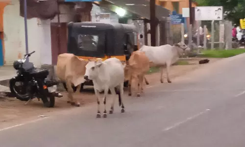 போக்குவரத்துக்கு இடையூறு போக்குவரத்துக்கு இடையூறு