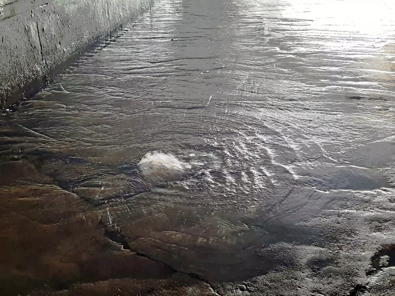 வீணாகும் குடிநீர்