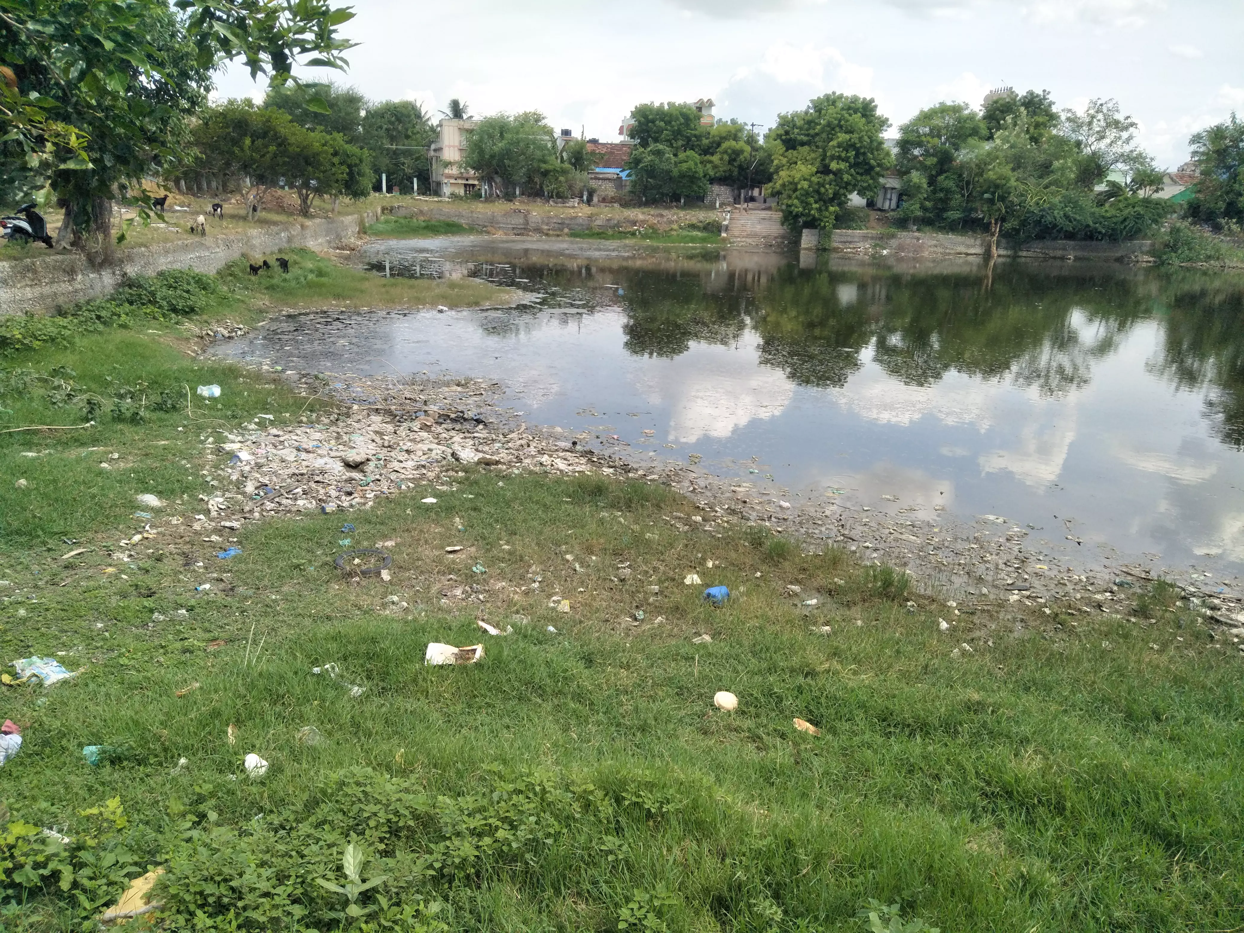 அசுத்தமான கோவில் குளம்