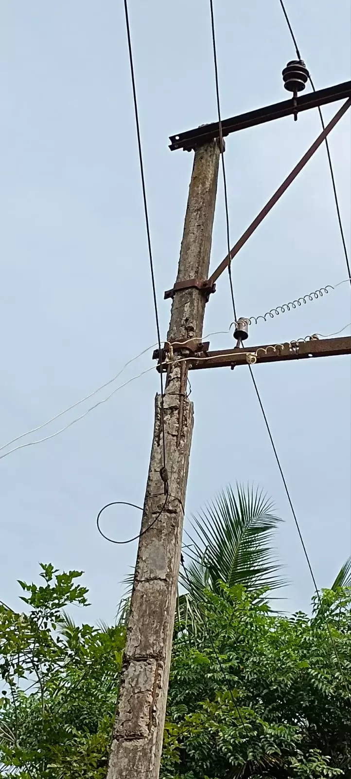 மின்கம்பங்கள் மாற்றப்படுமா? மின்கம்பங்கள் மாற்றப்படுமா?