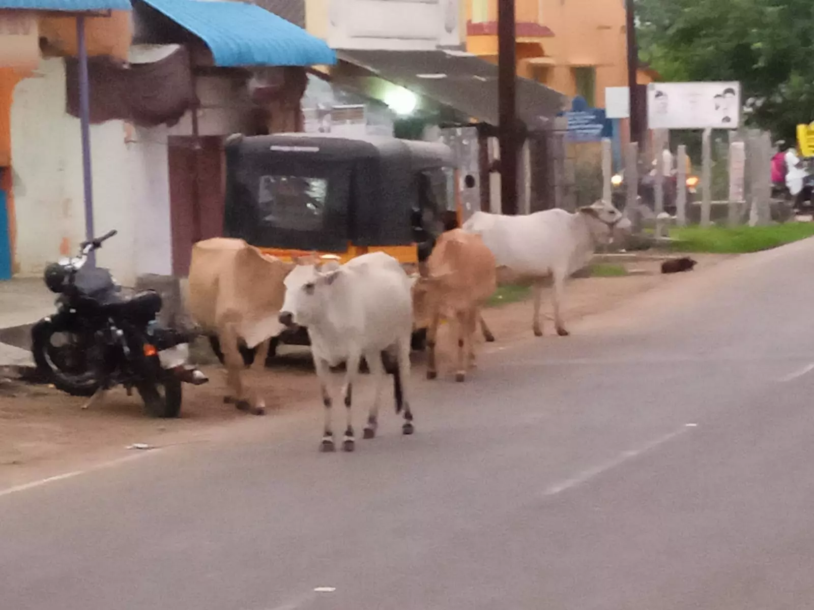 போக்குவரத்துக்கு இடையூறு போக்குவரத்துக்கு இடையூறு