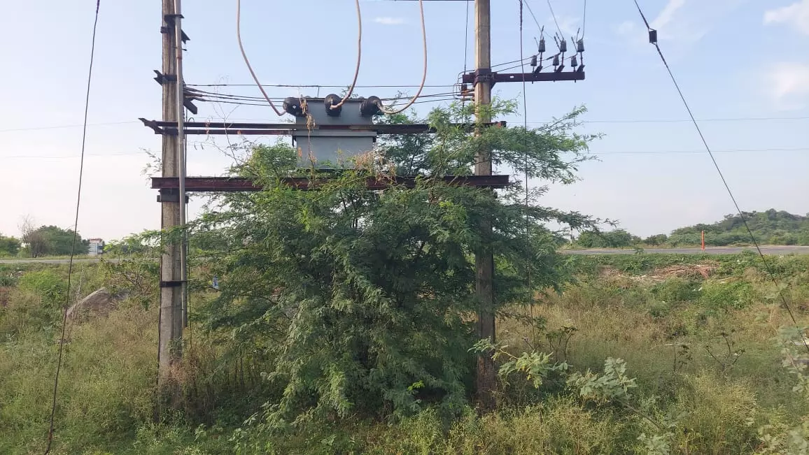 மின்மாற்றியை சூழ்ந்த முட்செடிகள் மின்மாற்றியை சூழ்ந்த முட்செடிகள்