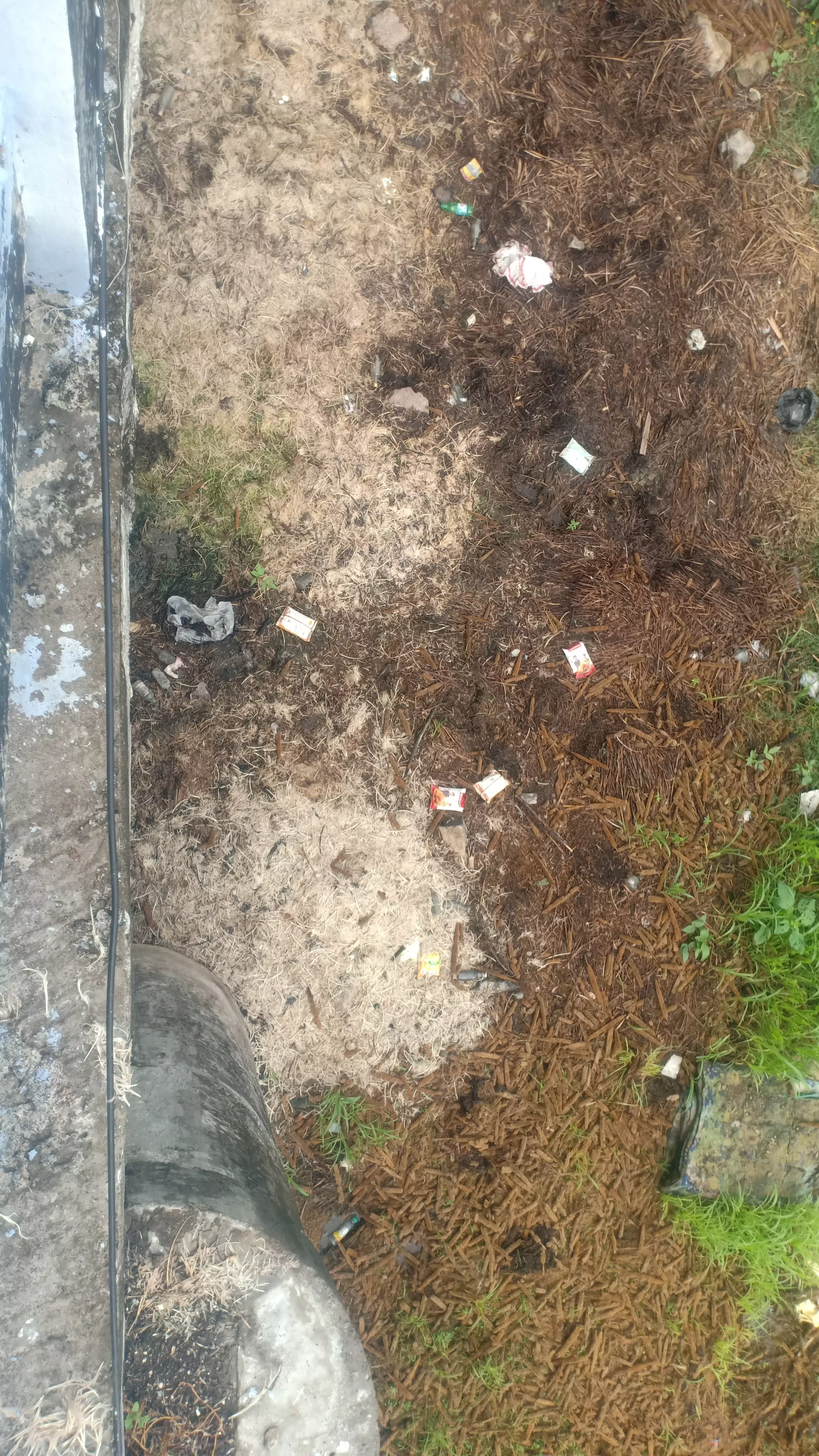 ஆற்றில் கொட்டப்படும் கோழிக்கழிவுகள்