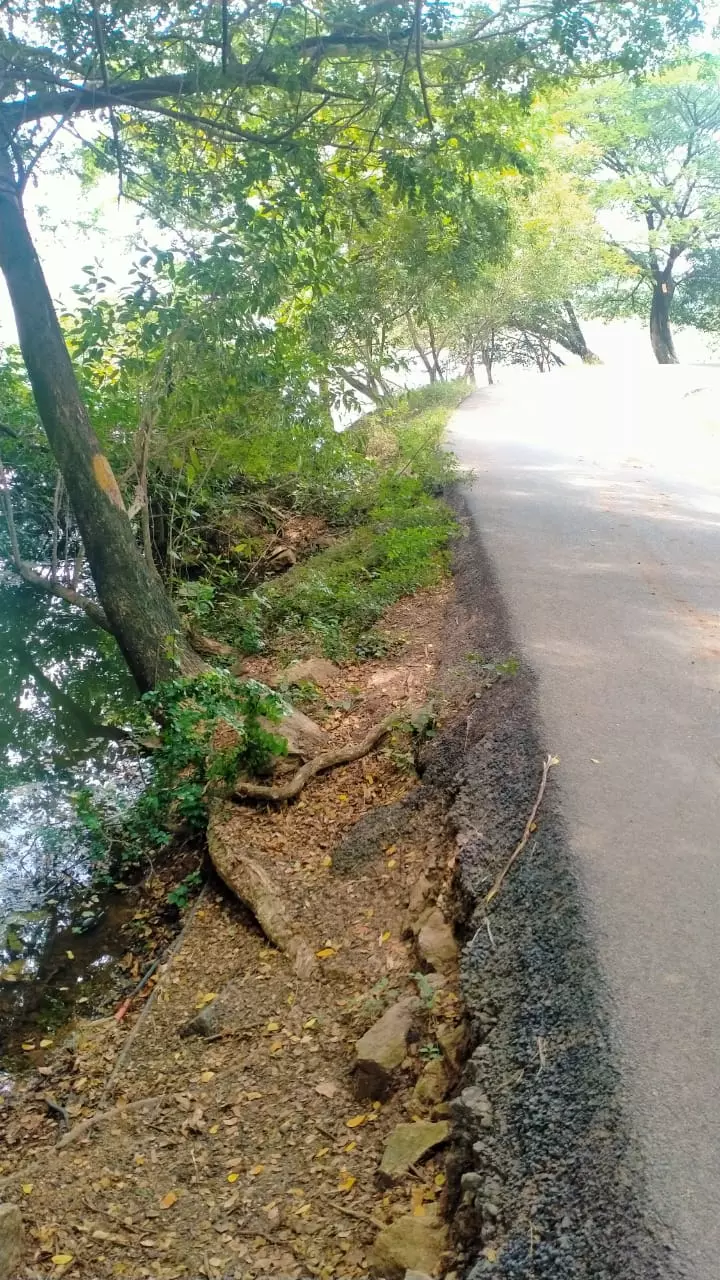 தடுப்பு சுவர் வேண்டும் தடுப்பு சுவர் வேண்டும்