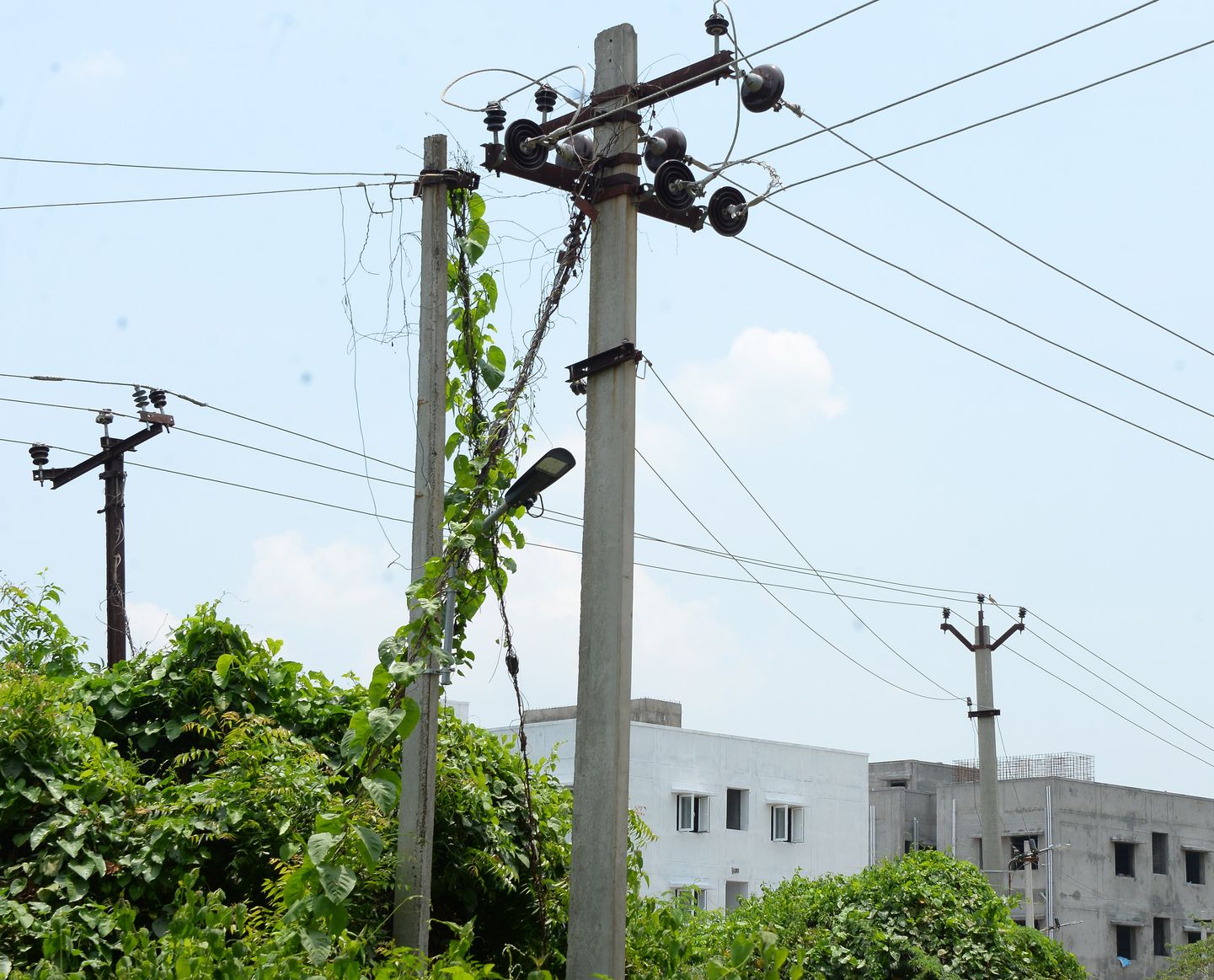 மின்கம்பத்தில் சுற்றும் கொடிகள் மின்கம்பத்தில் சுற்றும் கொடிகள்