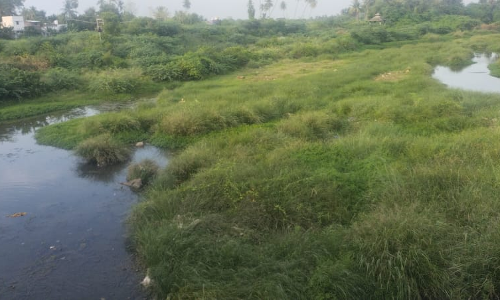 கழிவு நீரால் மாசடையும் ஆற்று நீர் கழிவு நீரால் மாசடையும் ஆற்று நீர்