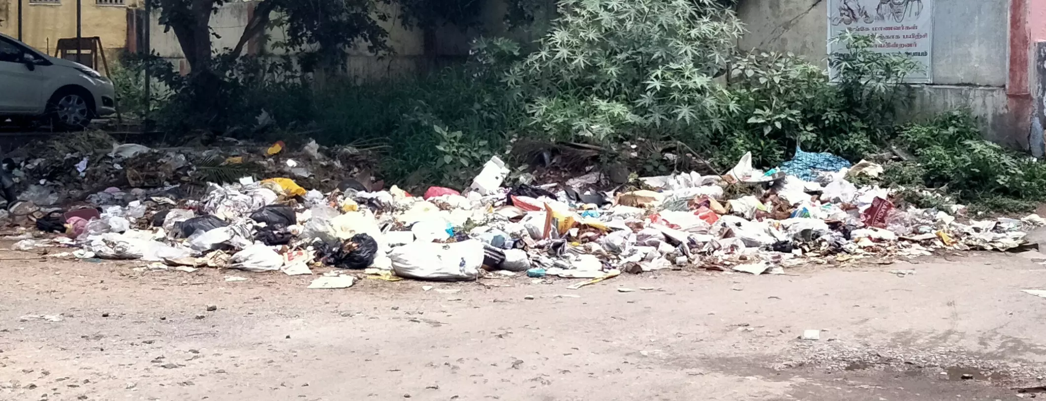 குப்பைகள் அகற்றப்படுமா? குப்பைகள் அகற்றப்படுமா?