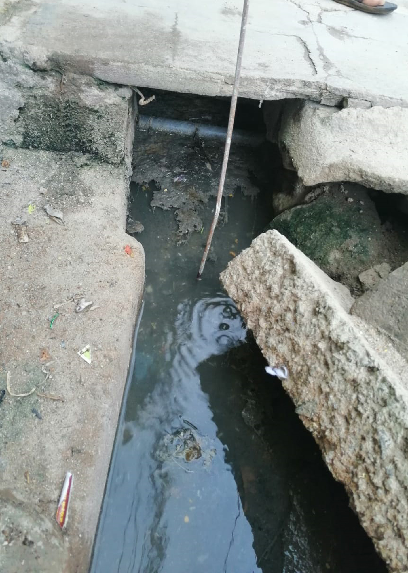 நோய் பரவும் அபாயம் நோய் பரவும் அபாயம்