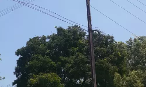 பகலில் எரியும் மின் விளக்கு பகலில் எரியும் மின் விளக்கு