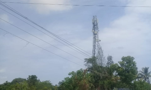 தாழ்வாக செல்லும் மின் கம்பிகள்