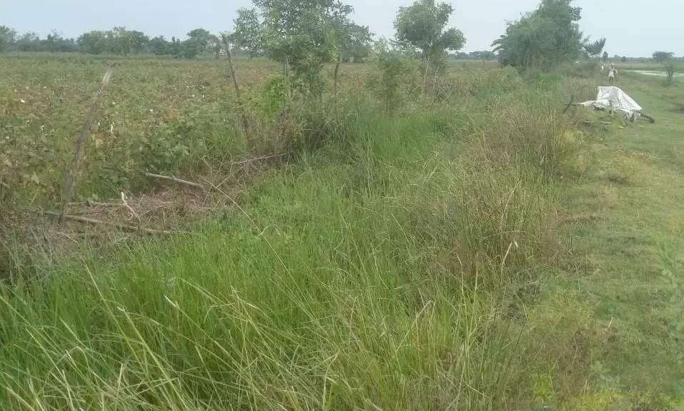 வடிகால் வாய்க்கால் தூர்வாரப்படுமா?