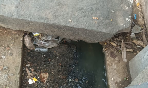 வடிகால்வாய் தூர்வாரப்படுமா?