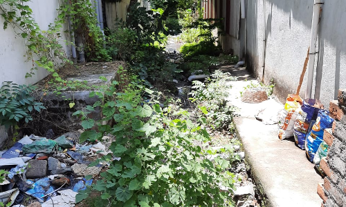 கால்வாய் தூர்வாரப்படுமா? கால்வாய் தூர்வாரப்படுமா?