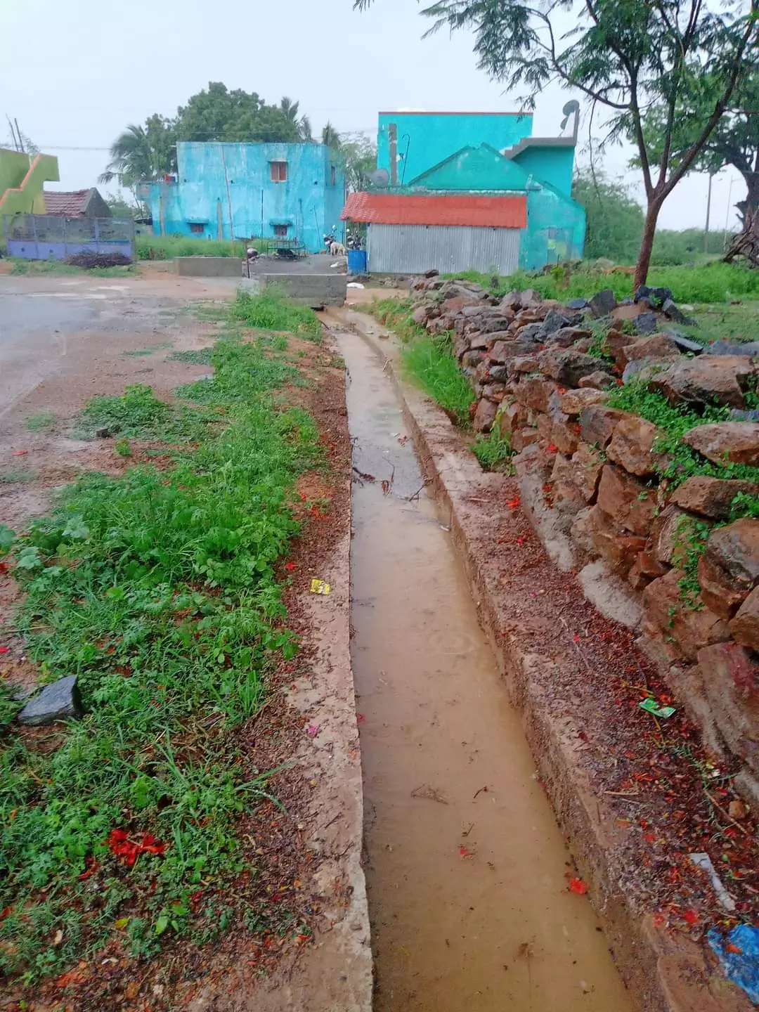 தேங்கி நிற்கும் மழைநீர்