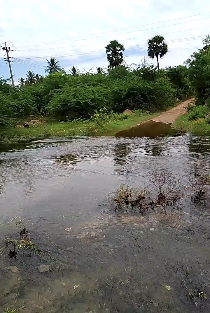பாலம் அமைக்க கோரிக்கை