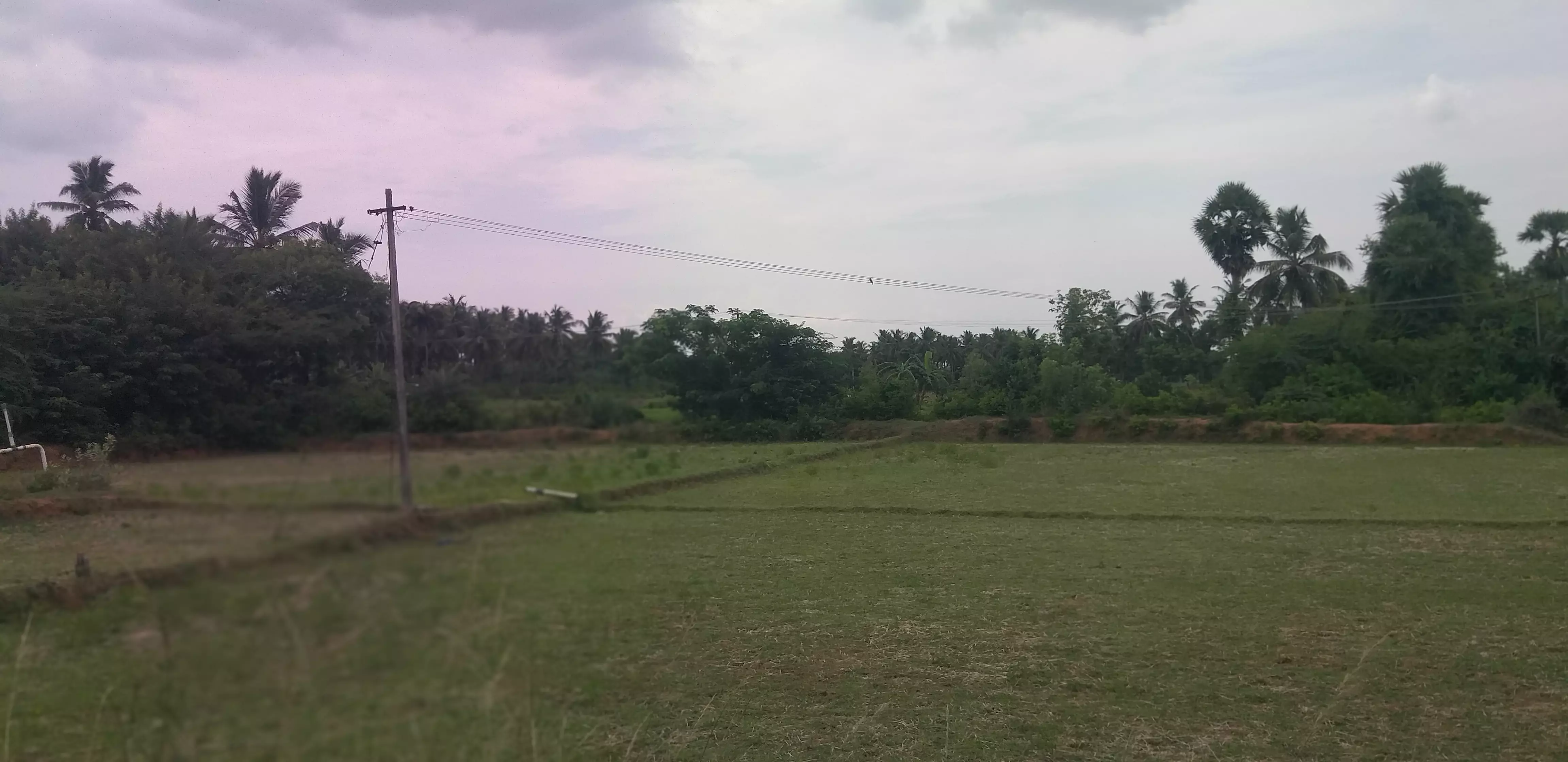 தினத்தந்தி புகார் பெட்டிக்கு நன்றி தினத்தந்தி புகார் பெட்டிக்கு நன்றி