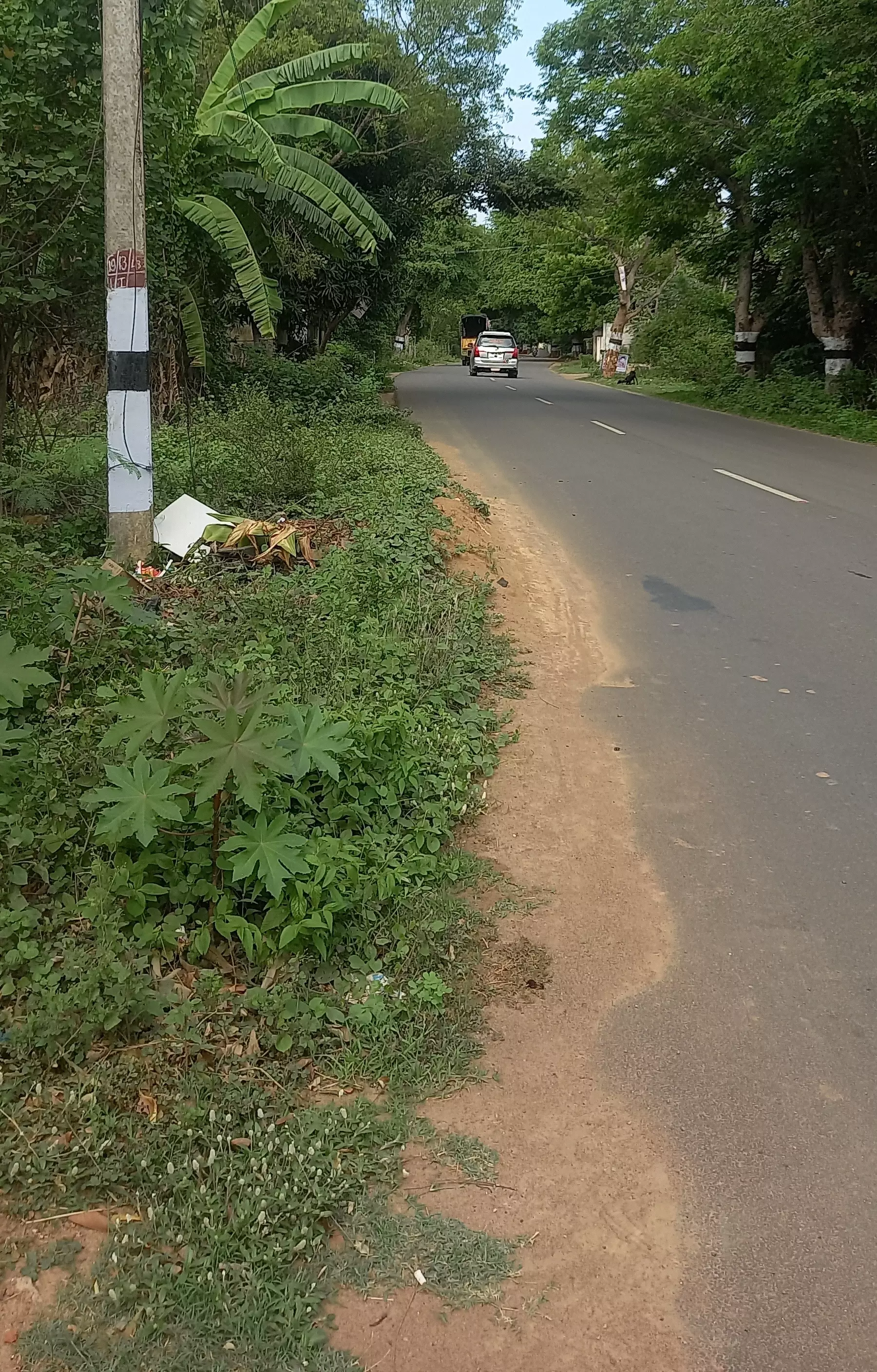 விபத்து ஏற்படும் அபாயம்