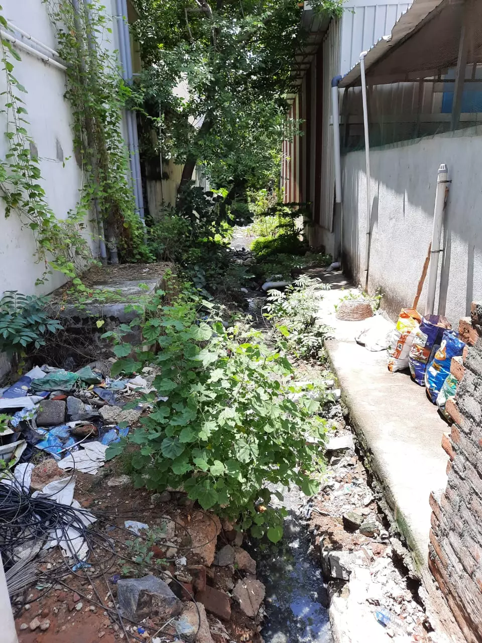 கால்வாய் தூர்வாரப்படுமா? கால்வாய் தூர்வாரப்படுமா?