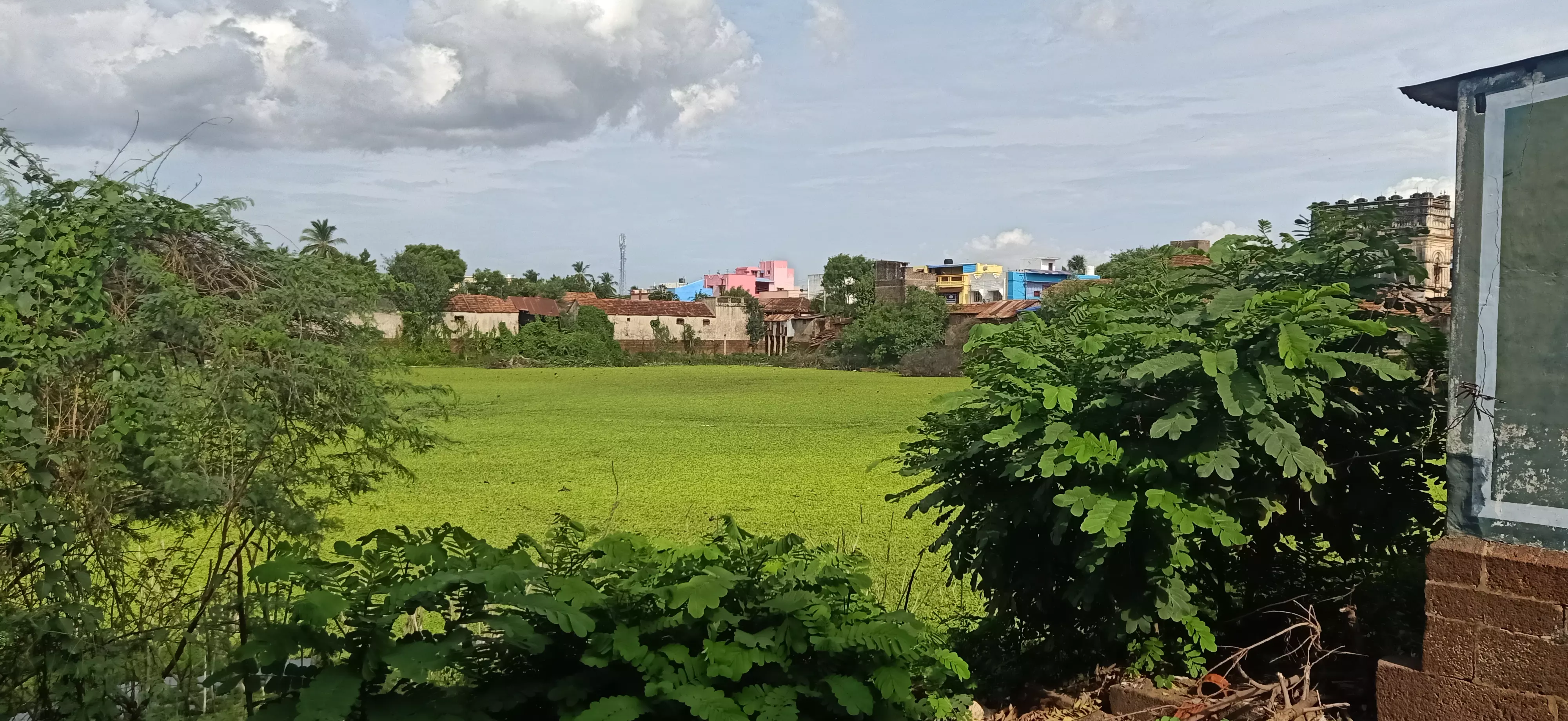 ஊருணி தூர்வாரப்படுமா? ஊருணி தூர்வாரப்படுமா?