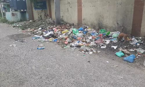 குவிந்து கிடக்கும் குப்பைகள் குவிந்து கிடக்கும் குப்பைகள்