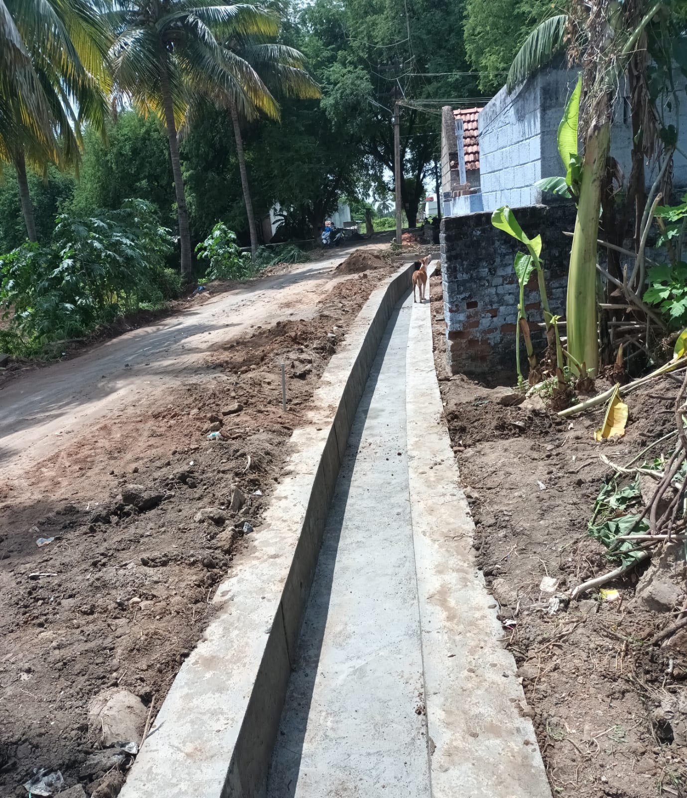 பாராட்டு பாராட்டு