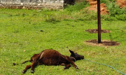மின்மாற்றிைய பராமரிக்க வேண்டும் மின்மாற்றிைய பராமரிக்க வேண்டும்