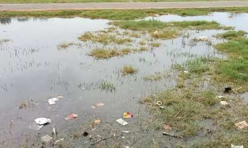 சுகாதார சீர்கேடு