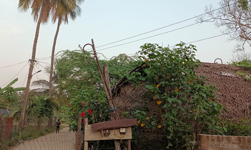 தாழ்வாக செல்லும் மின் கம்பிகள் தாழ்வாக செல்லும் மின் கம்பிகள்